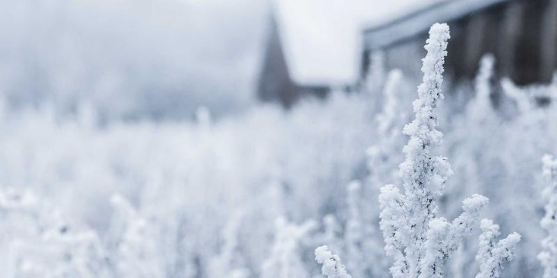 从艺术涂鸦到紫色家居：用环保材料家具打造可持续生活美学