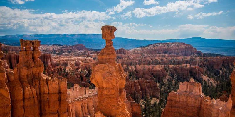 家居用品90：用装饰品与生活用品打造理想家居装饰的完整指南