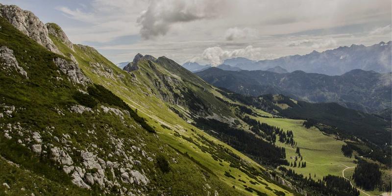 家居用品是什么？从实用到美学，探索装饰品与紫色家居的现代定义