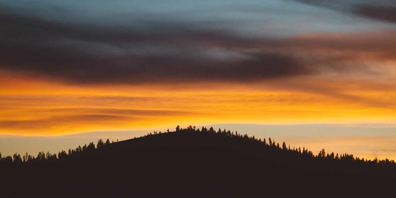 家居纺织品选购秘籍：用紫色与艺术涂鸦打造四季皆宜的床品窗帘