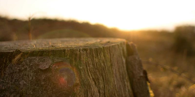 家居软装搭配心理学：色彩与材质如何通过生活用品与装饰品塑造情绪与空间感
