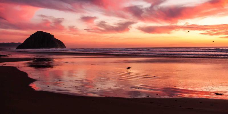 艺术涂鸦点亮生活:阿杰家的个性家居装饰灵感