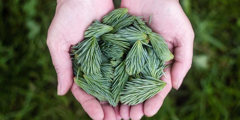 阳台改造灵感集：从洗衣房到艺术花园，紫色家居与涂鸦的电商平台选购指南
