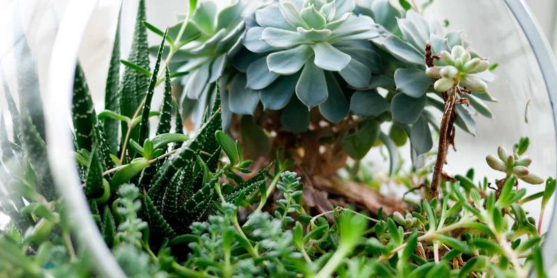 阿杰家的艺术涂鸦生活：冬季家居保暖用品全解析，从地暖垫到保温窗帘的实用选择